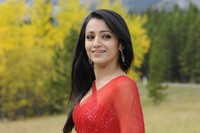 Trisha Hot Saree Photos